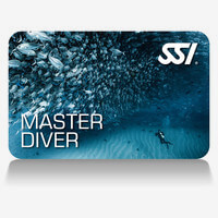 SSI Karte Master