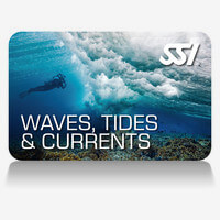 SSI Karte Waves