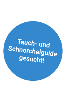 suche_button